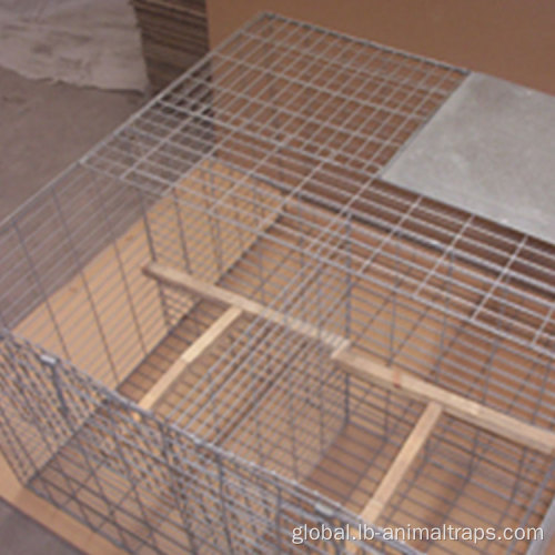Bird Traps Cage Bird Control Anti Pigeons Residential Roof Birds Spikes Supplier